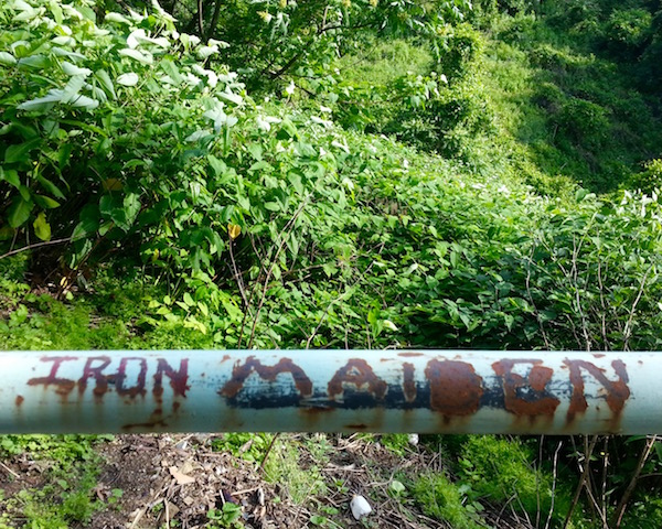 graffiti reading "Iron Maiden" carved into handrail of city steps, Pittsburgh, PA