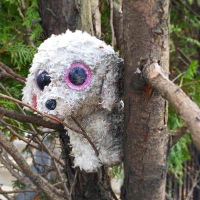 stuffed animal dog wedged in between tree limbs, Pittsburgh, PA