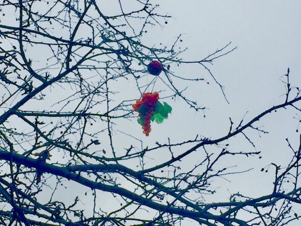 plastic fruit dangling from tree limbs