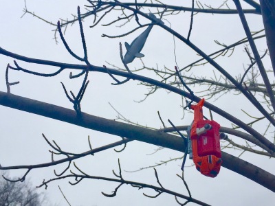 toys dangling from tree limbs