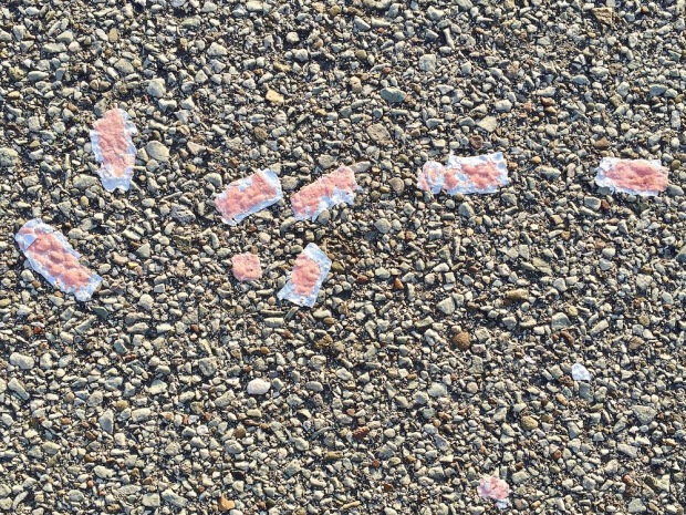 ketchup packets embedded in road tar