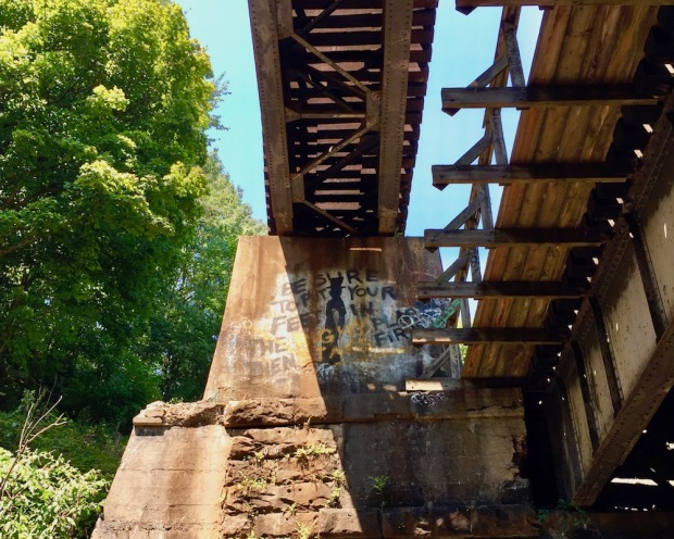 cement and steel train trestle in the woods