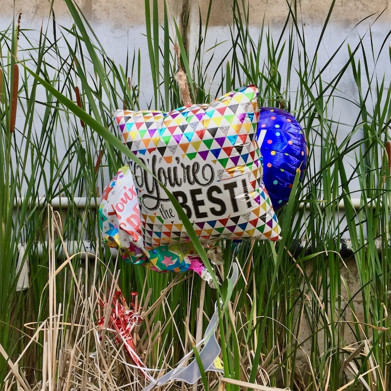 celebratory balloons left in tall grass