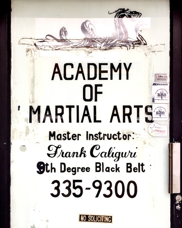 door for martial arts academy with hand-painted dragon