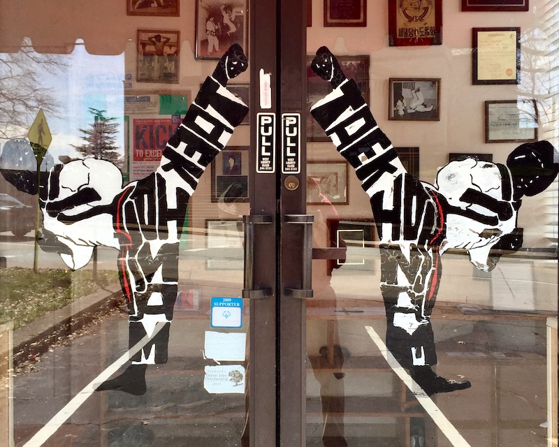 doors for karate school with hand-painted figures making high kicks
