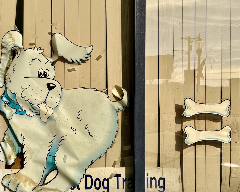 window with cut-out cartoon dog and bones