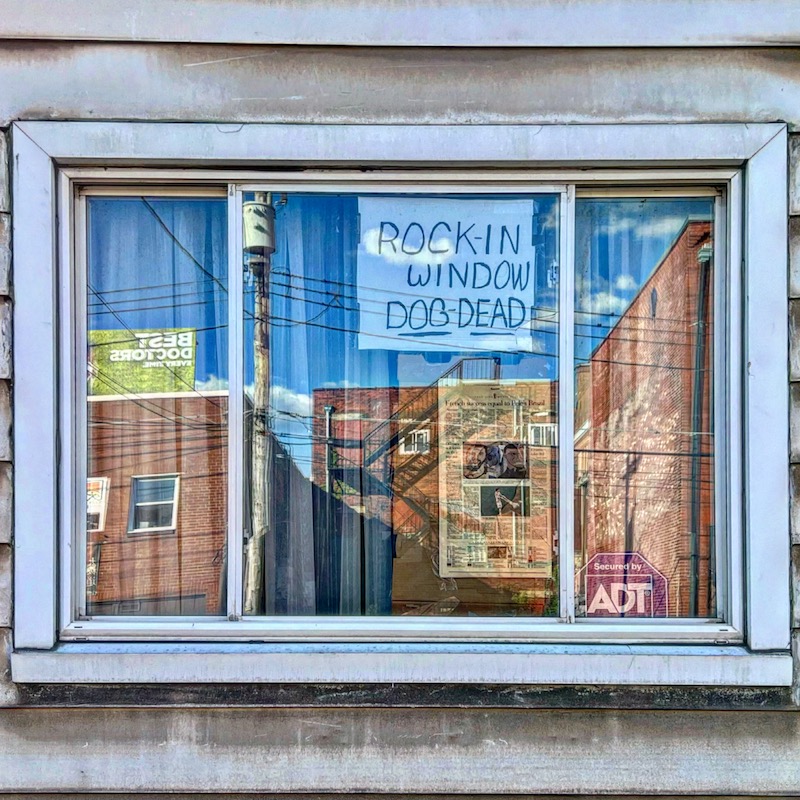 window with handmade sign reading "Rock-in window. Dog dead"
