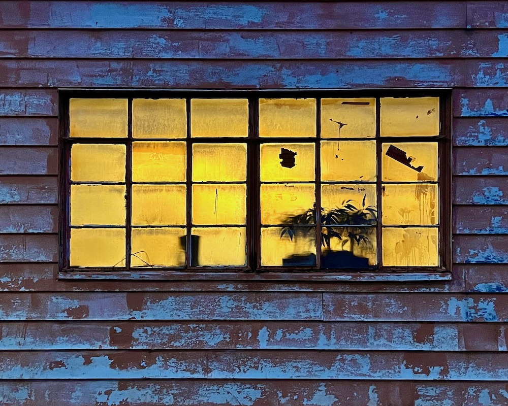 metal casement windows with warm yellow glow in early morning blue light